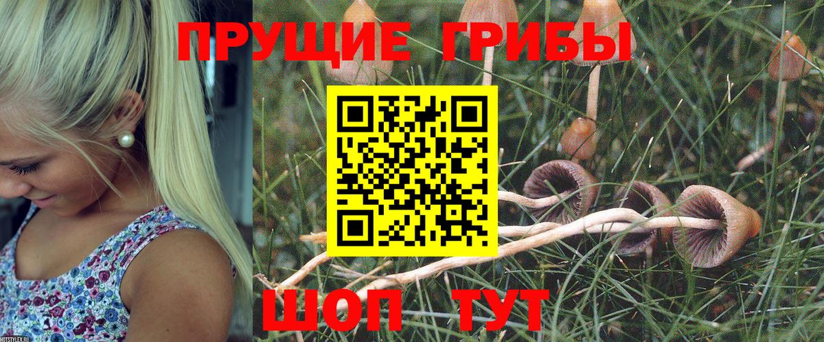Балахна  Галлюциногенные грибы GOLDEN TEACHER  Вход с VPN 